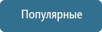 автоматический освежитель воздуха домашний